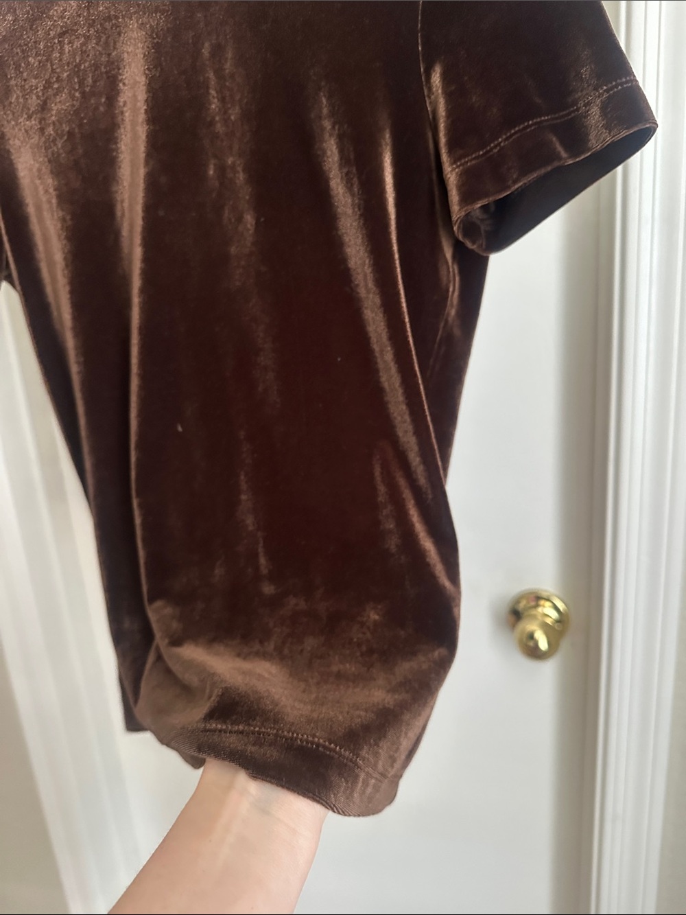 BCBG Brown Velvet Tee - Picture 4 of 8